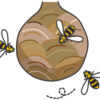 スズメバチの巣は縁起物なの？スピリチュアルで蜂は幸運の前兆？