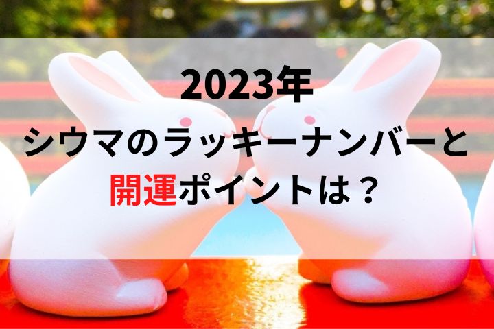 【2023年】シウマのラッキーナンバーと開運ポイントは？